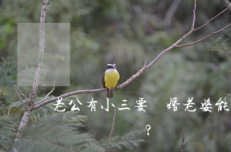 老公有小三要離婚,老婆能要精神損害賠償嗎？